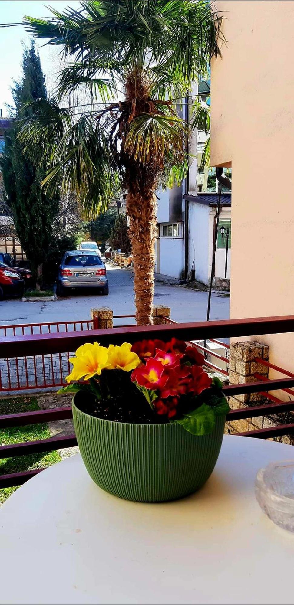 Vn * Ohrid
